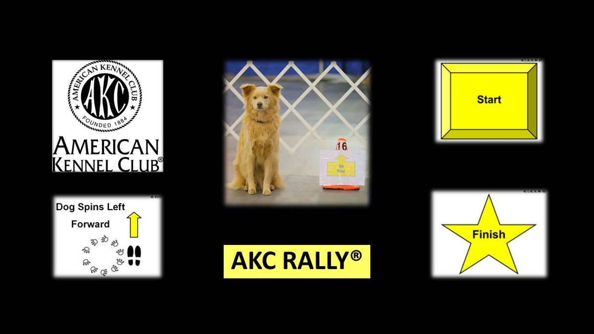 2025 AKC Rally\u00ae National Championship and National Obedience Championship