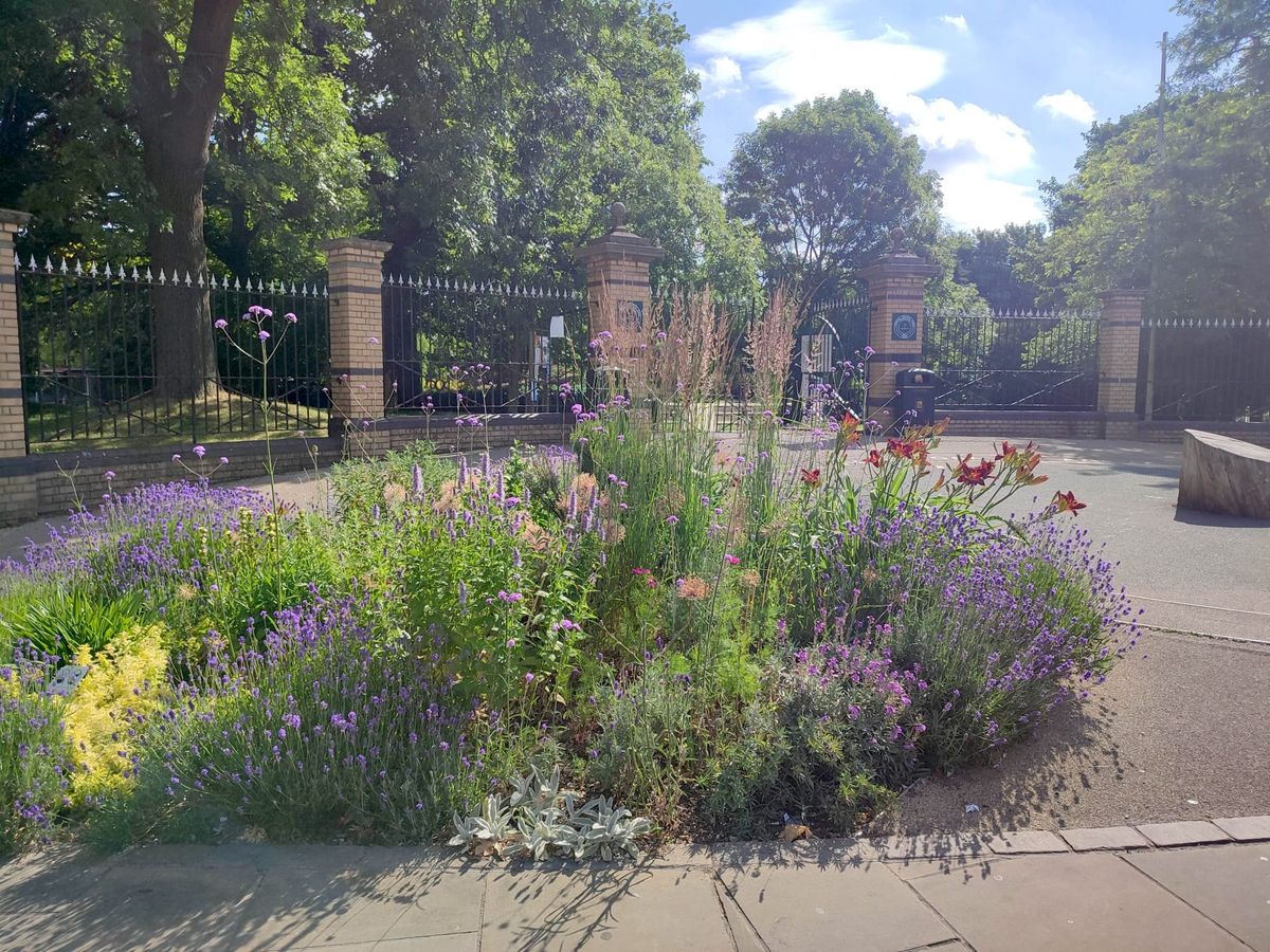 Flower Friday - volunteer gardening in Crystal Palace