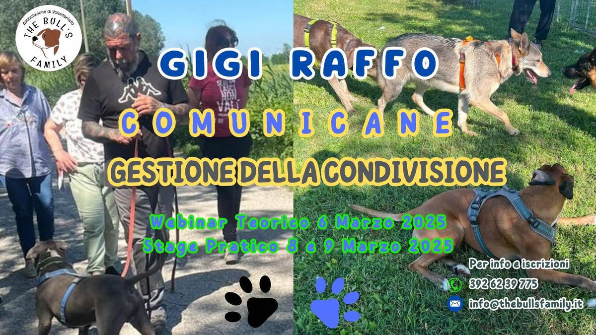 ComuniCane - Gigi Raffo - Roma