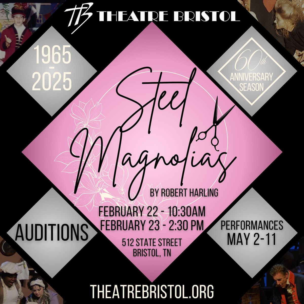 AUDITIONS Steel Magnolias at Theatre Bristol