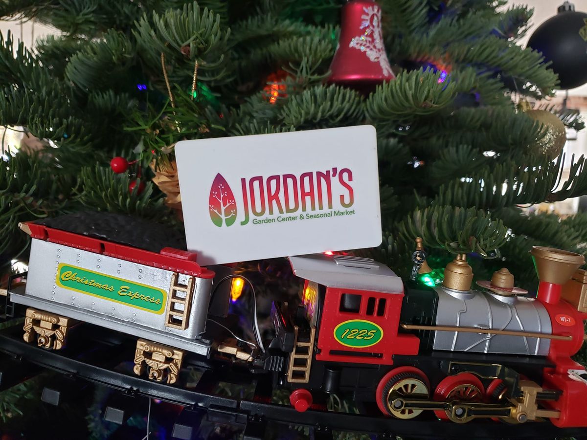 Holiday Bazar at Jordan's Tree Lot