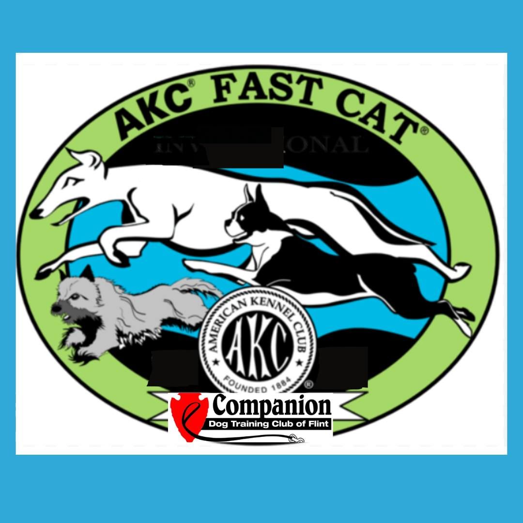 AKC All Breed Fast Cat Test