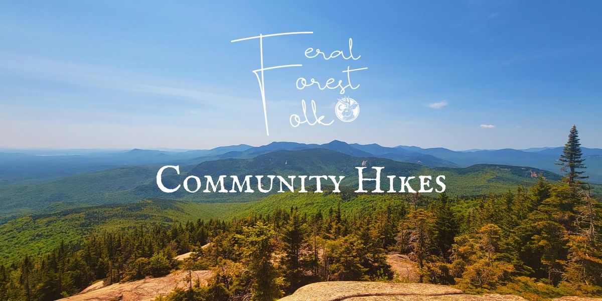 Feral Forest Folk Community Hike- South Piper