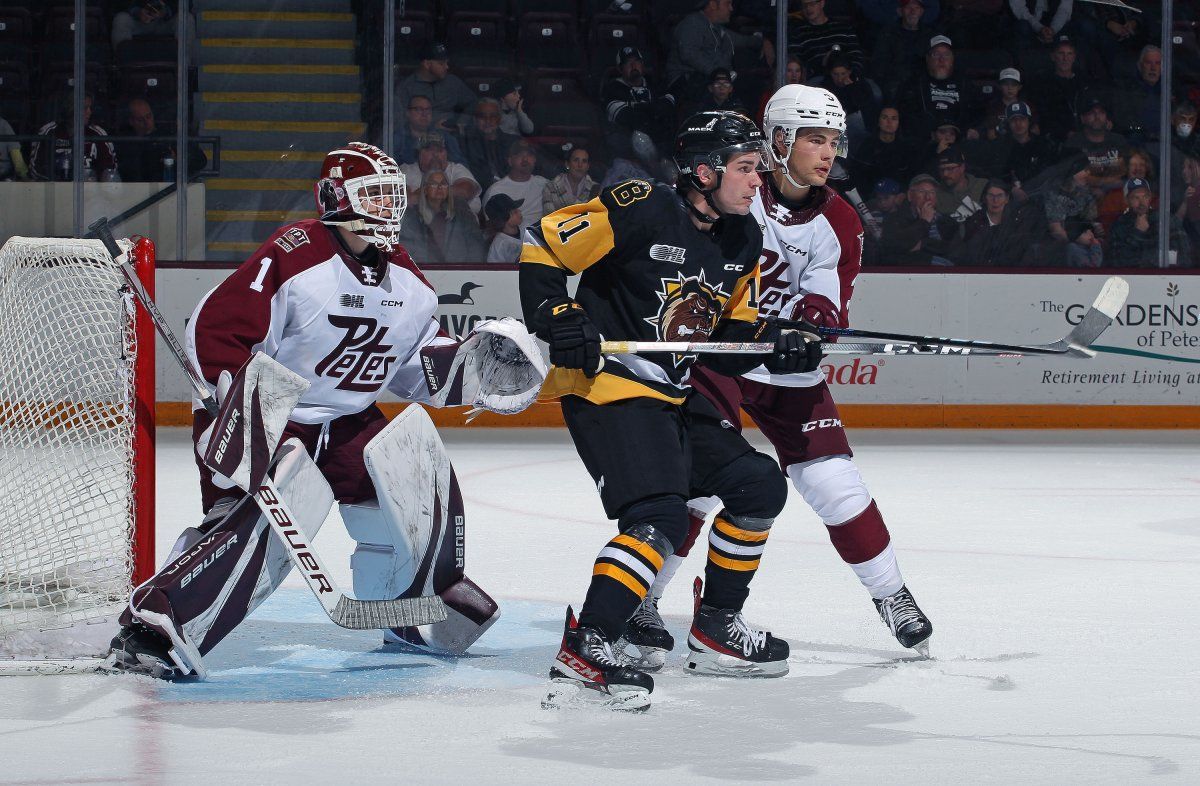 Parking Peterborough Petes at Brantford Bulldogs