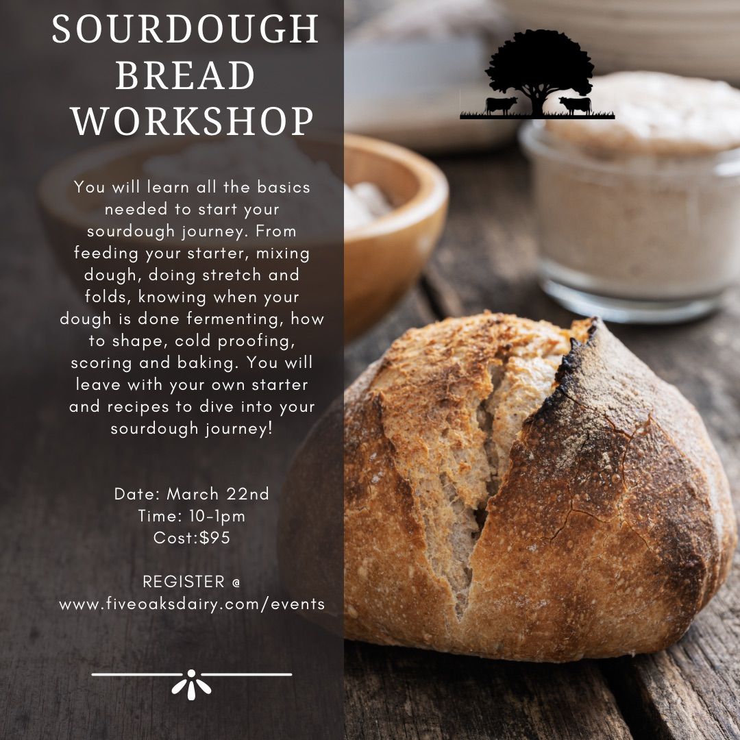 Sourdough Bread Workshop