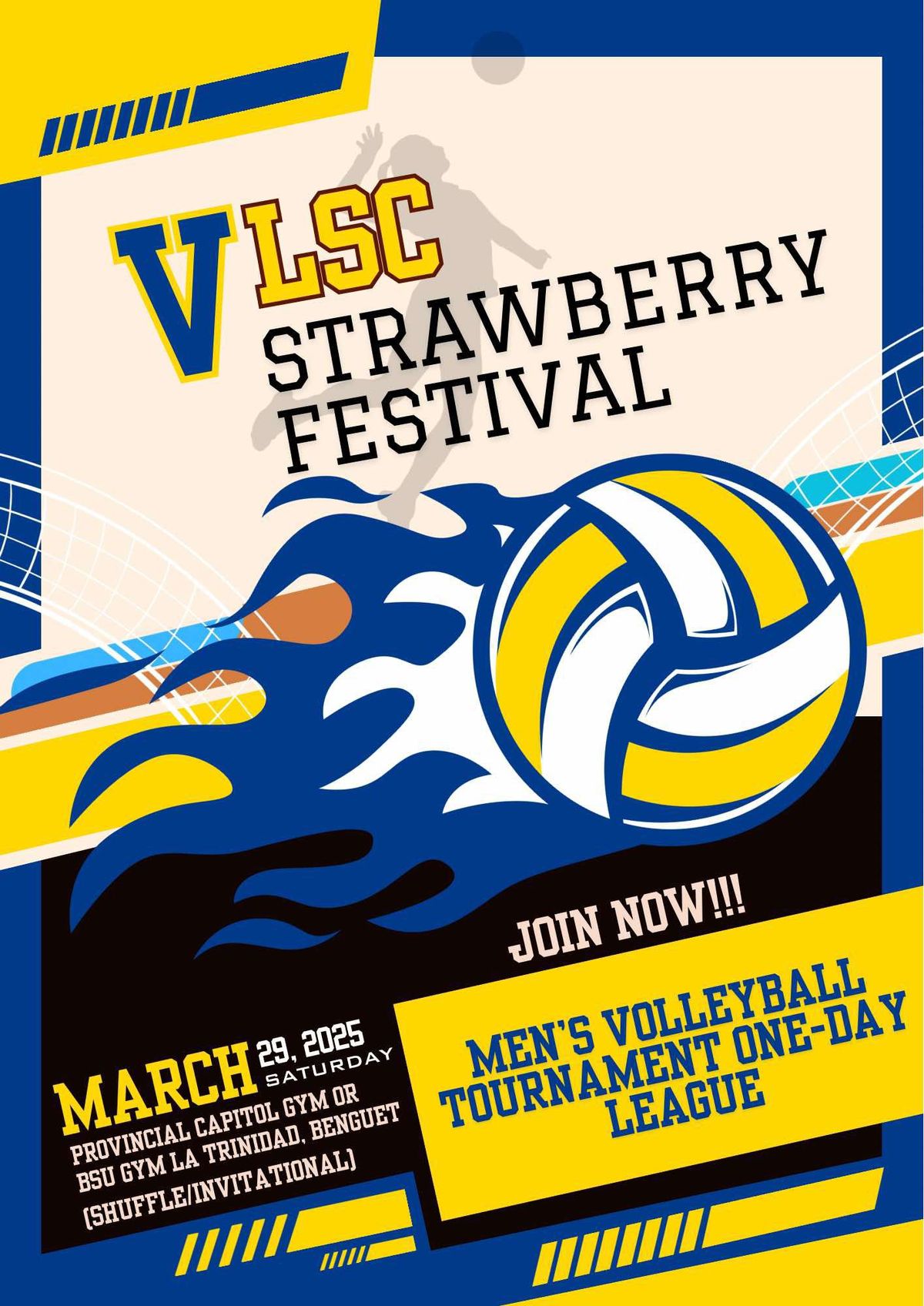 VLSC STRAWBERRY FESTIVAL Men's Volleybal Tournament 2025