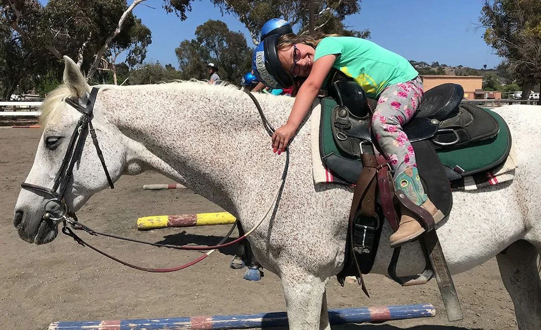 Sweetwater Farms Holiday Horse Camp