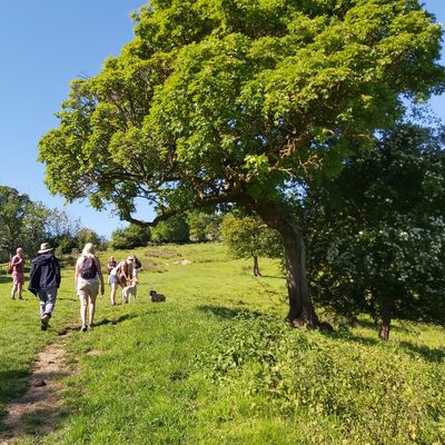 Walking the Hills (Guided Walks)
