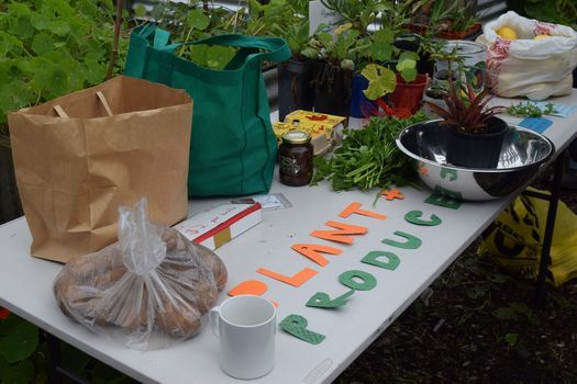 Seed Exchange and Produce Swap