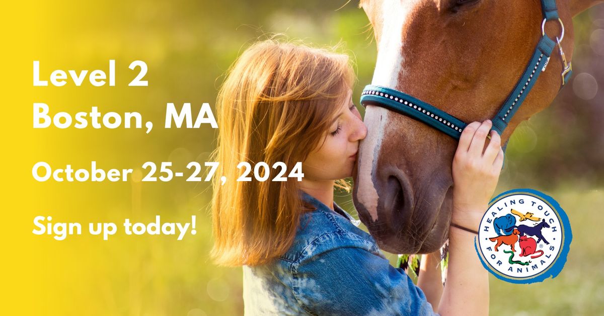 Healing Touch for Animals\u00ae Level 2 in Boston, MA