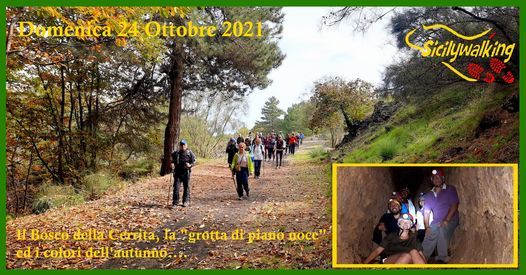 Il Bosco della cerrita, la grotta di piano noce ed i colori dell'autunno....