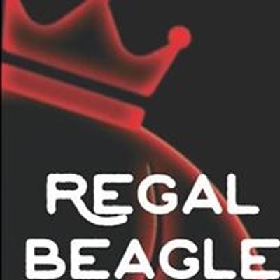 Regal Beagle