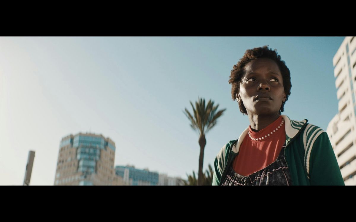 Film Screening: The Ants