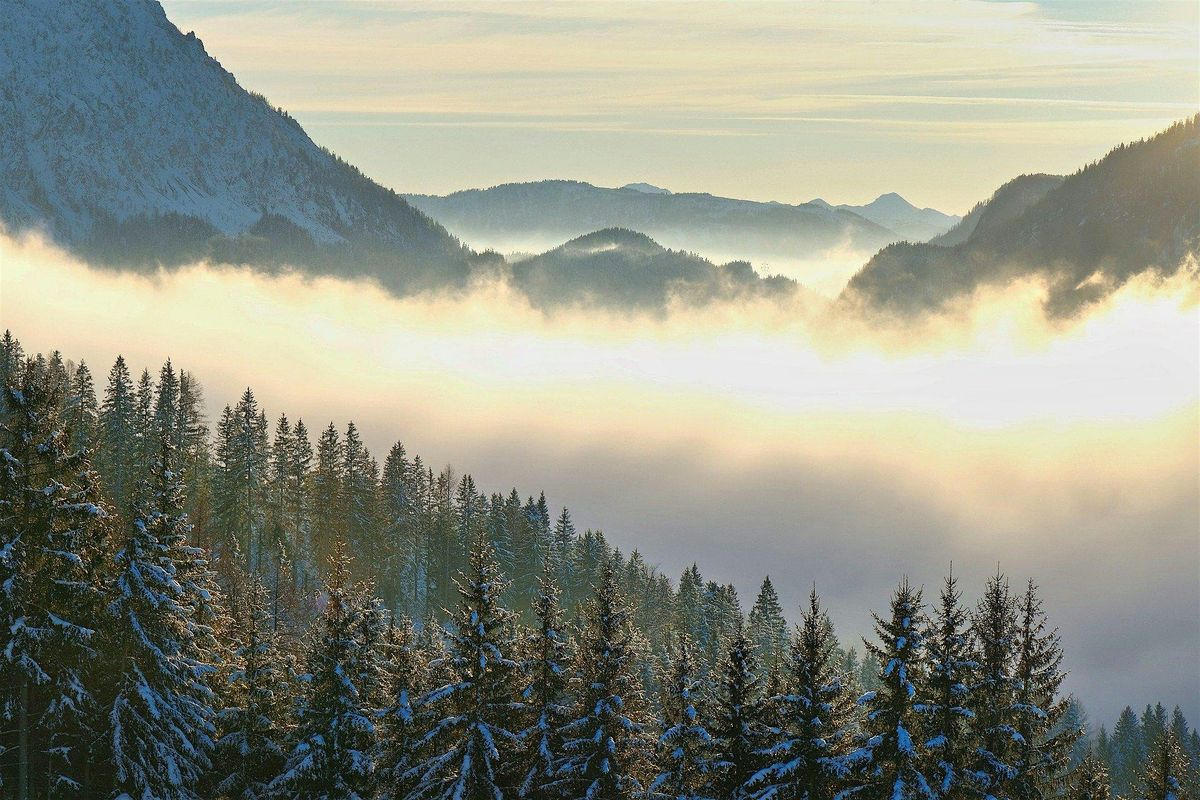 Release & Rise Retreat