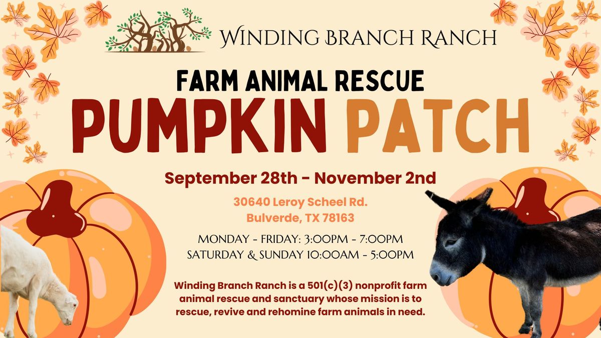 The Pumpkin Patch at Winding Branch Ranch