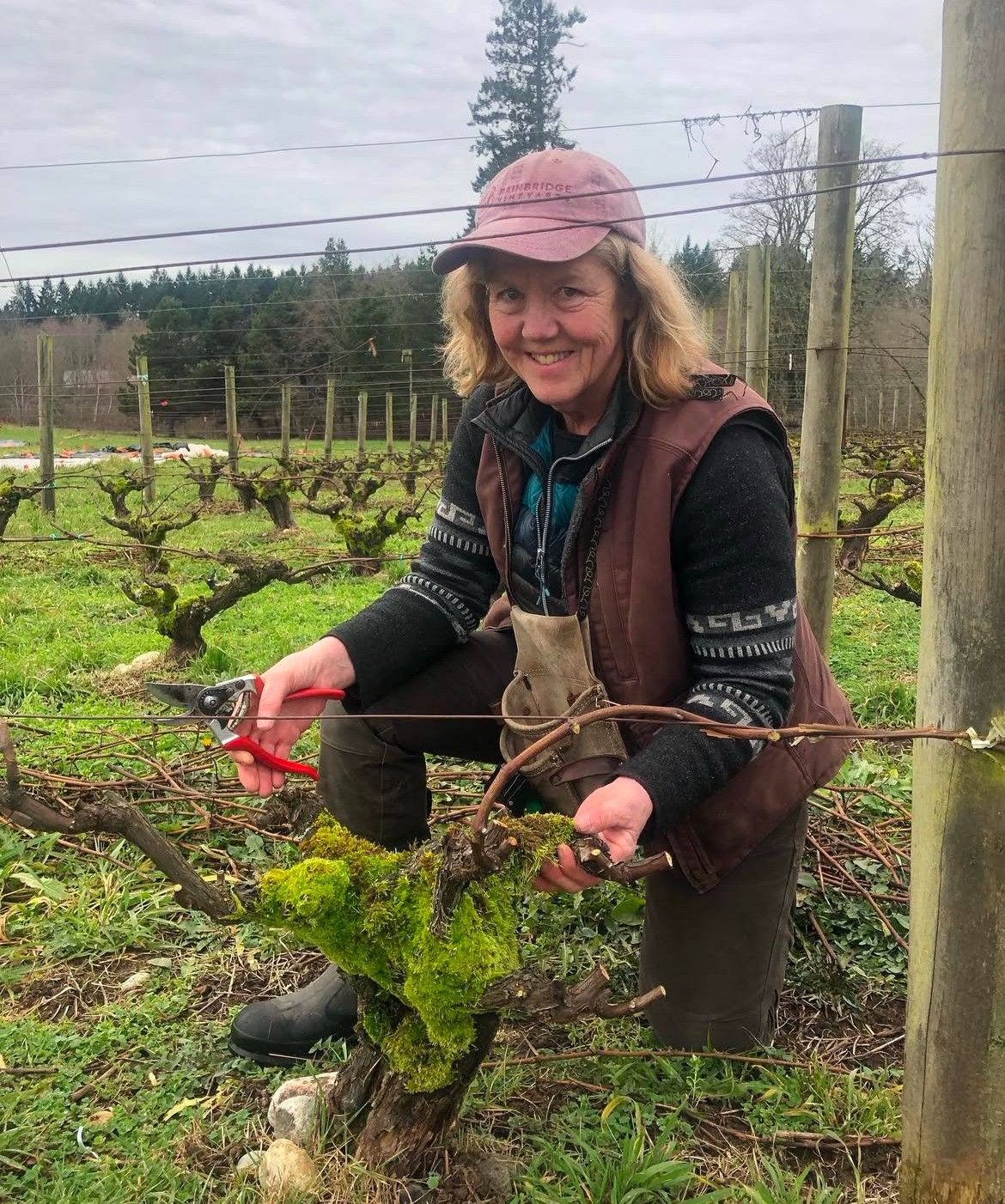 Vineyard tour with Farmer Betsey