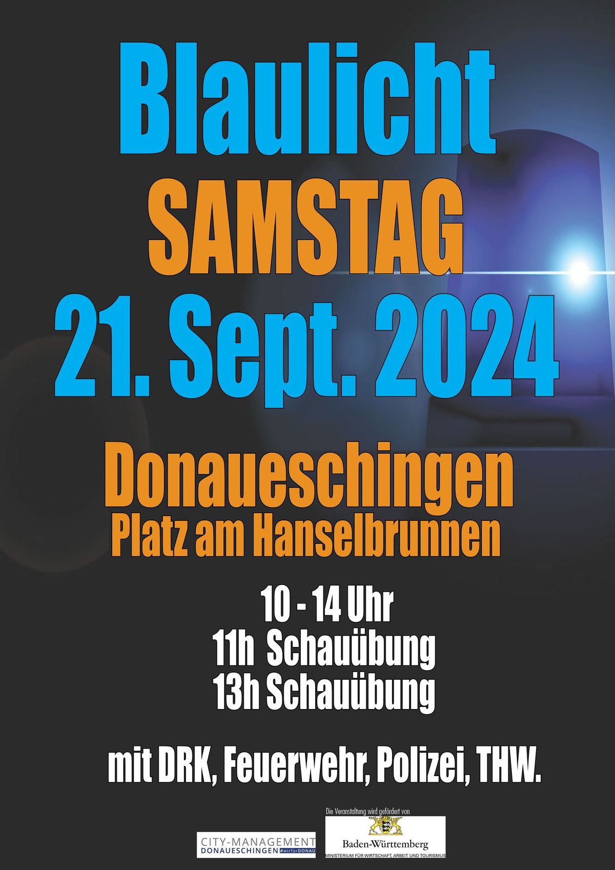 Blaulicht SAMSTAG in Donaueschingen