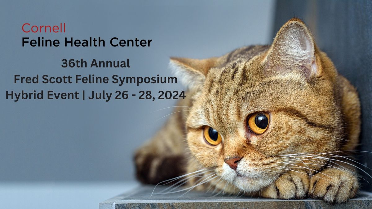 36th Annual Fred Scott Feline Symposium\/ Hybrid event