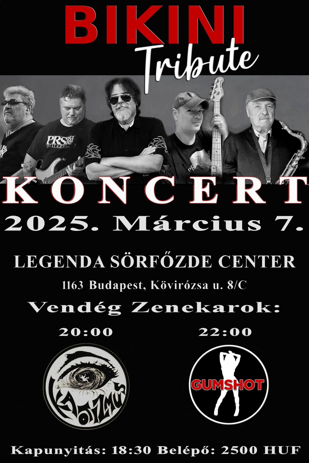 BIKINI Tribute KONCERT