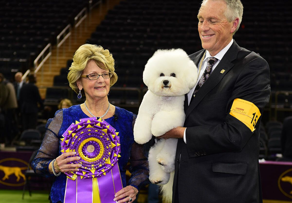 The National Dog Show