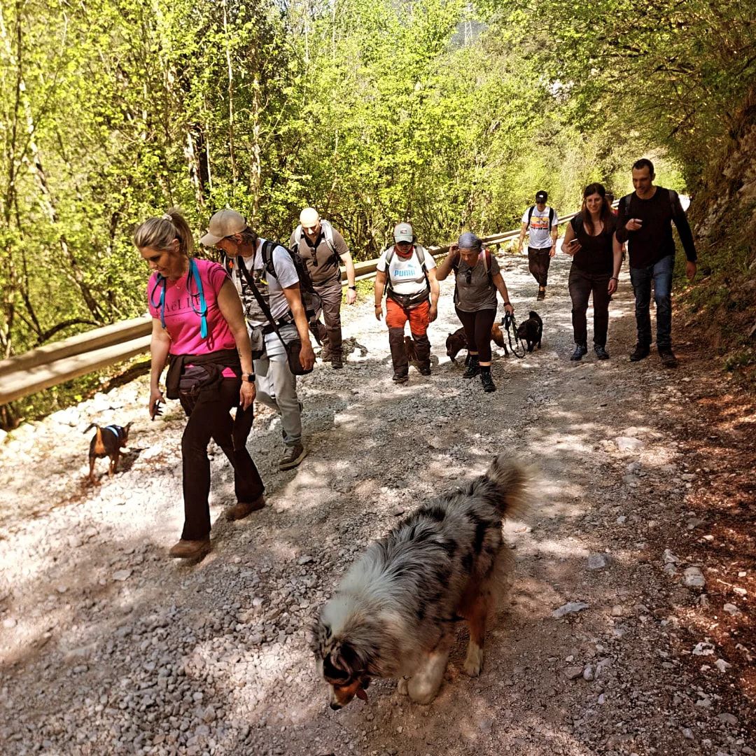 Dogtrekking valle delle cascate vallepietra 