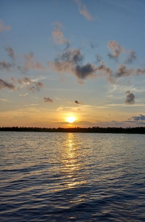 Sunset Cruise from Five Rivers Delta Resource Center