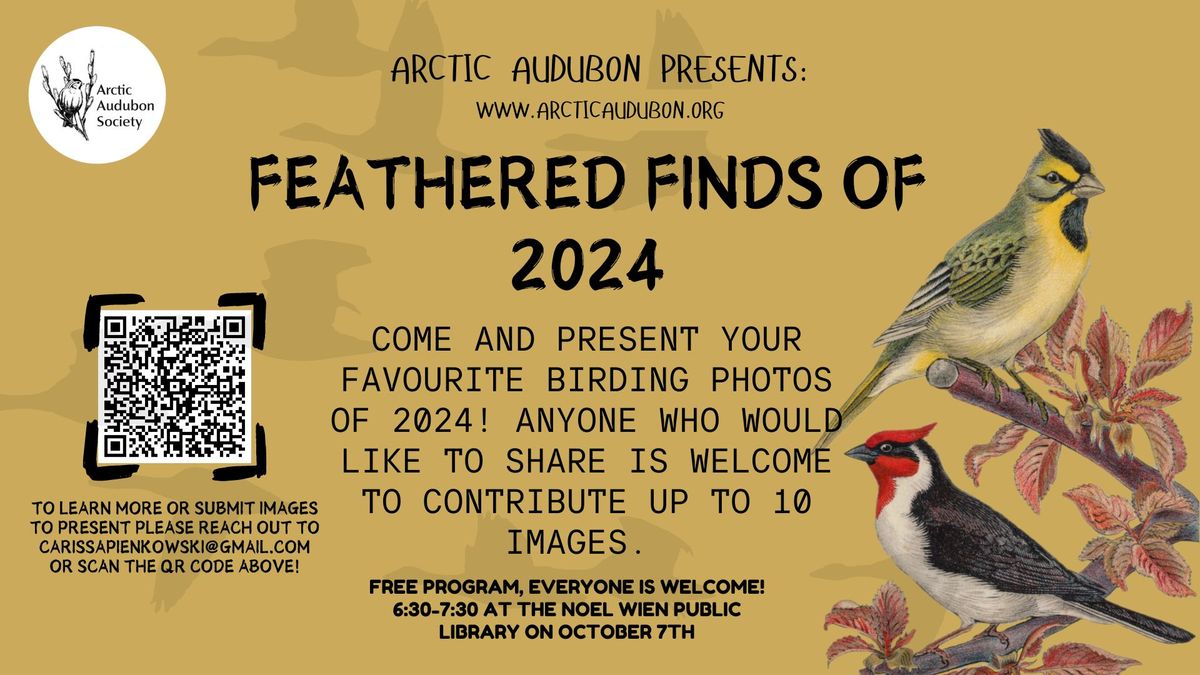 Feathered Finds of 2024