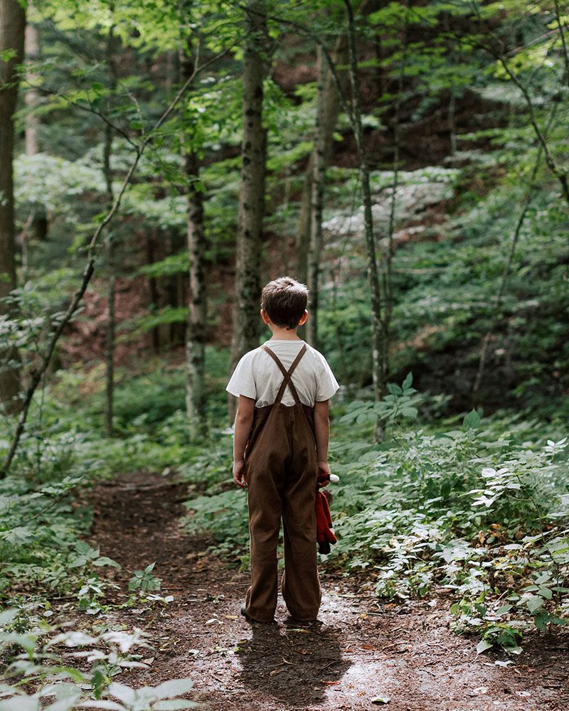 The Cunning Little Vixen at Macky Auditorium
