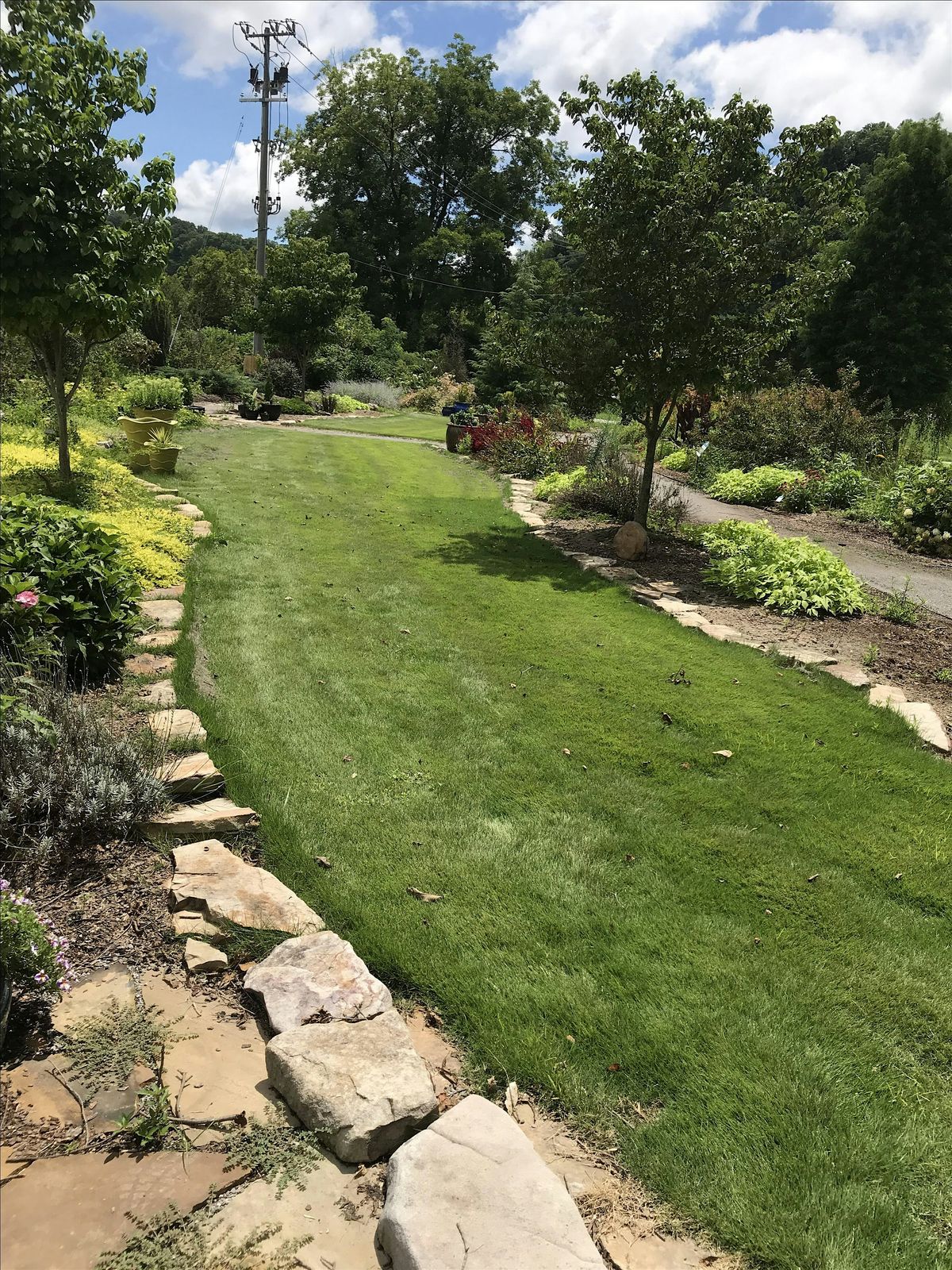 Rowan Landscape Pesticide Update