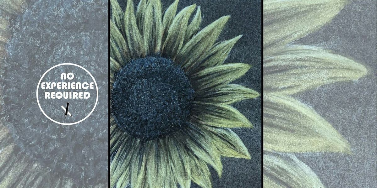 Fundraising Charcoal Drawing Event "Sunflower" in  Richland Center