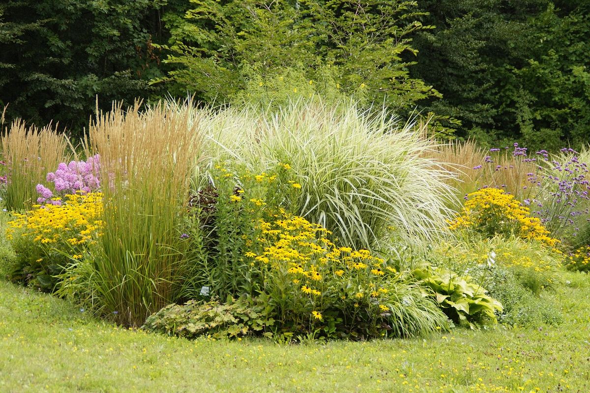 LANDSCAPING WITH PERENNIALS IN MONTANA