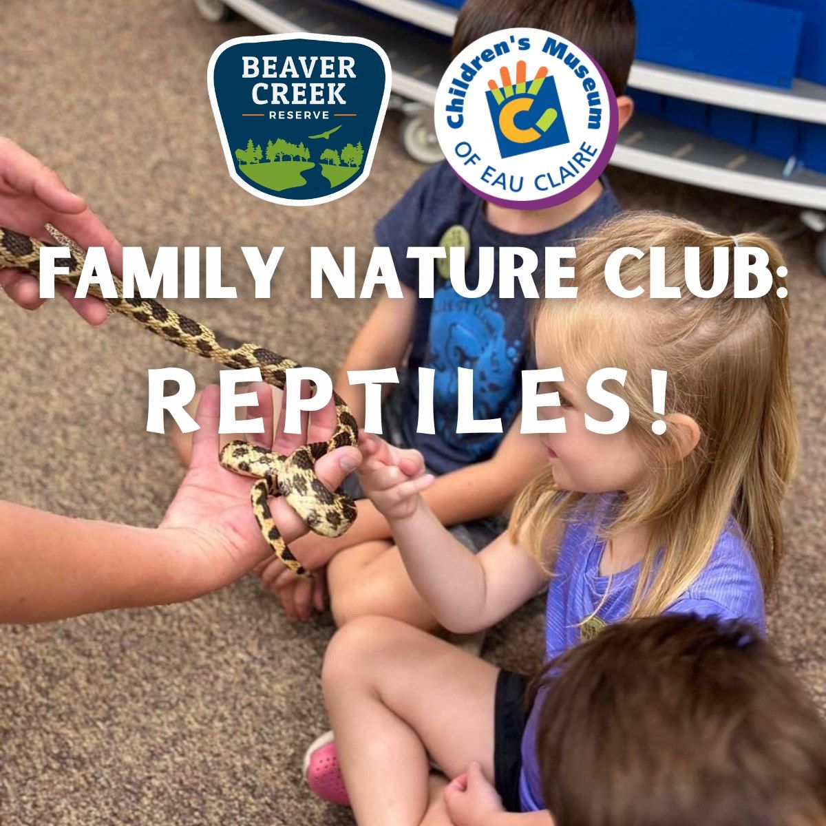 Family Nature Club: Reptile Investigation!