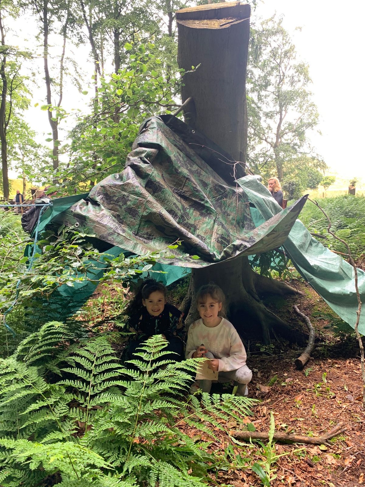 Den building