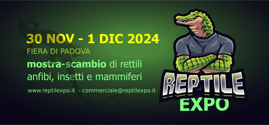 Fiera dei rettili ReptilEXPO - 30 Nov 1 Dic - Padova (Fiere)