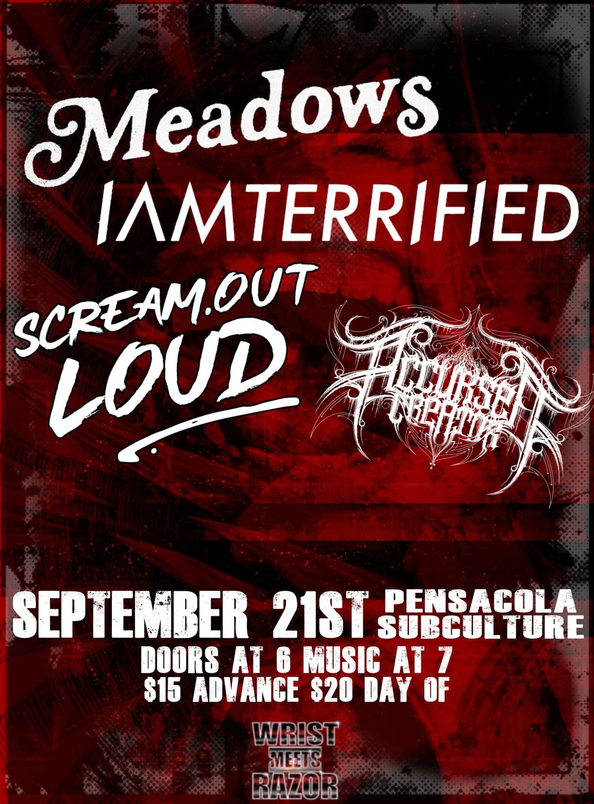 Meadows, I Am Terrified, Scream Out Loud, and Accursed Creator at Subculture 09\/21 