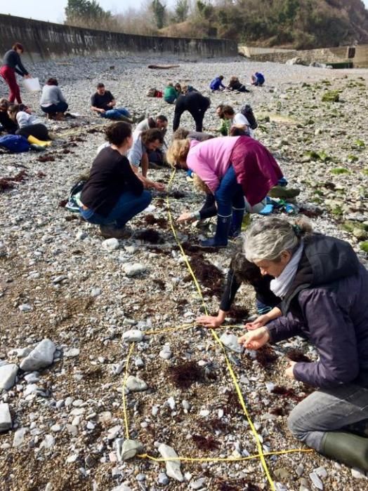 BIOLIT - Les observateurs du littoral : participer \u00e0 un suivi de l'estran du littoral basque - Plage