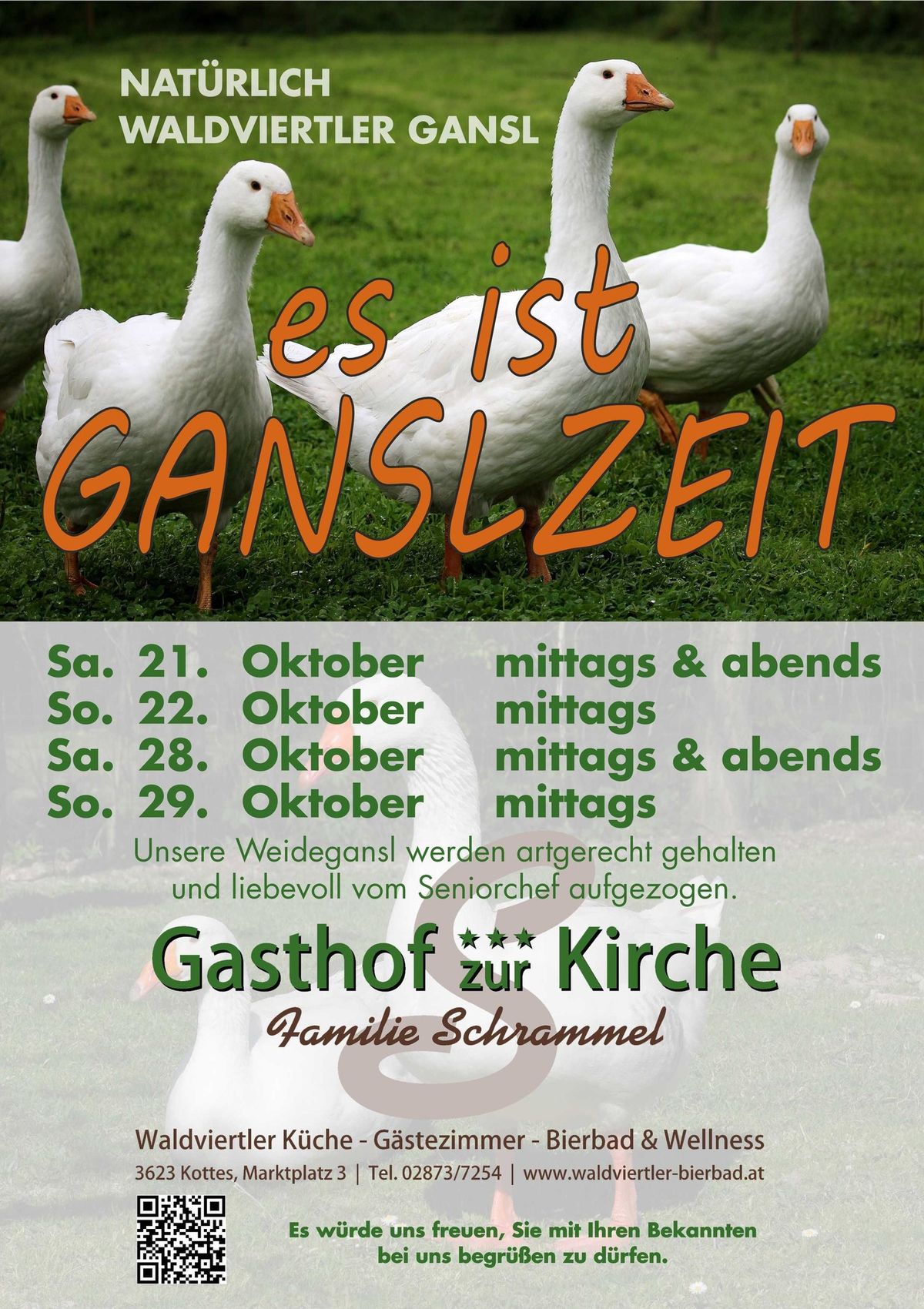 GANSLESSEN