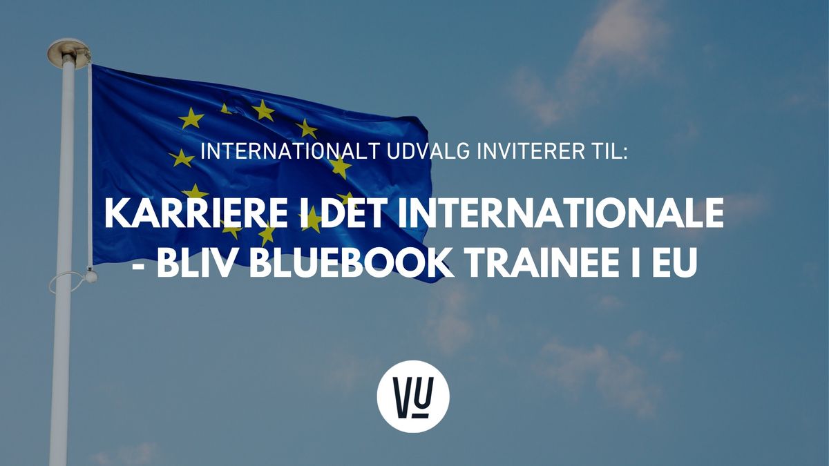 Karriere i det internationale - bliv Bluebook Trainee i EU