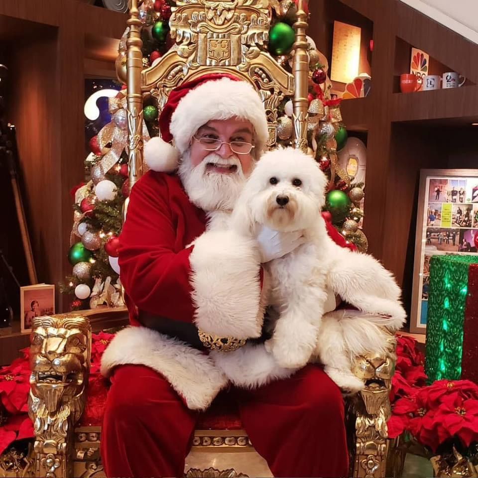 Pictures with Santa Paws