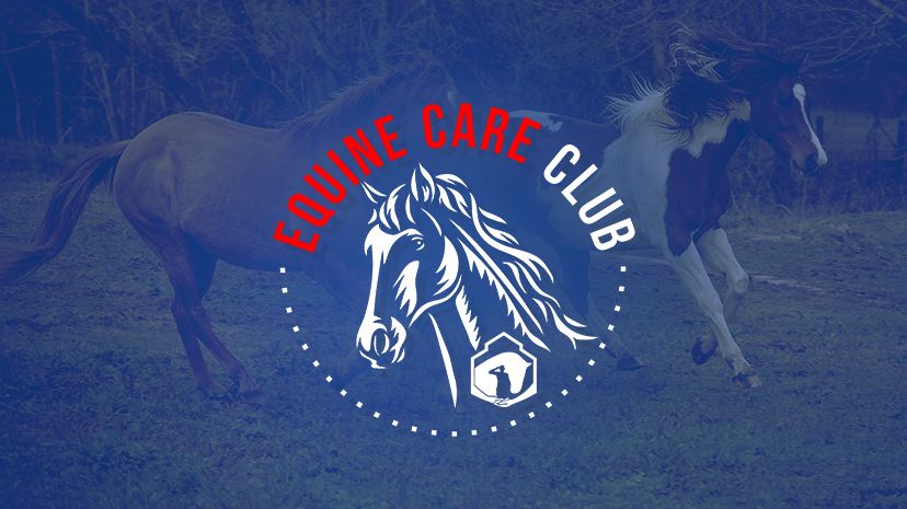 Equine Care Club