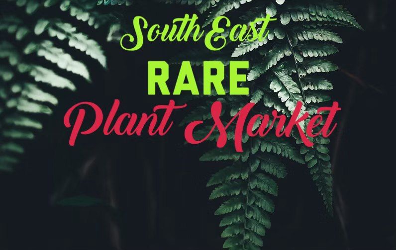 South East Rare Plant Market