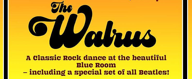 The Walrus Rocks the Blue Room