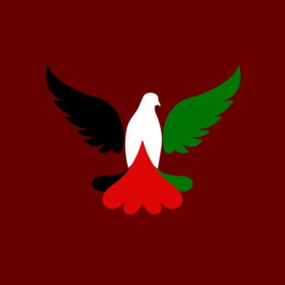 Little Rock Peace for Palestine