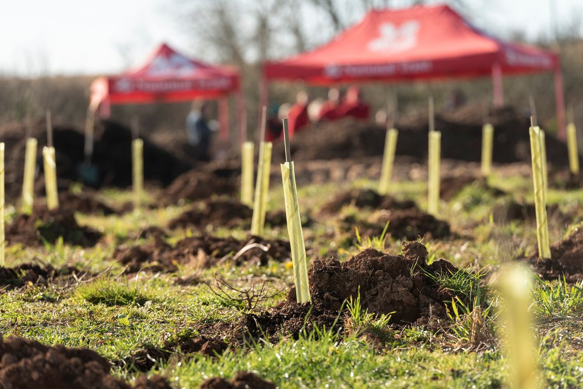 Weekend Community tree planting at Wembury Barton Farm