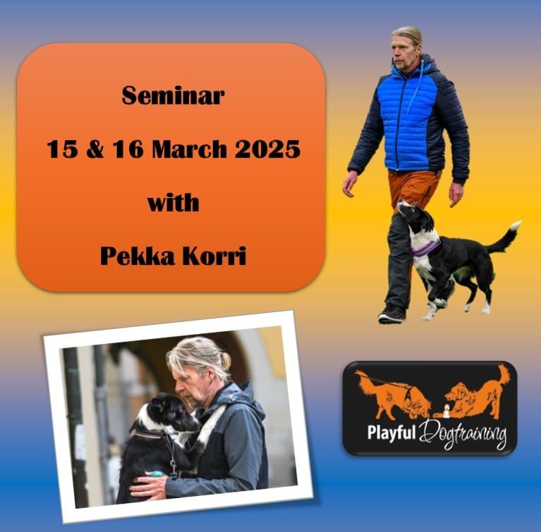 Seminar Pekka Korri