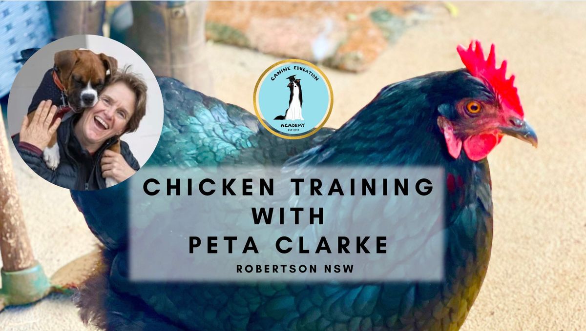 Chicken Training with Peta Clarke March 22nd 2025