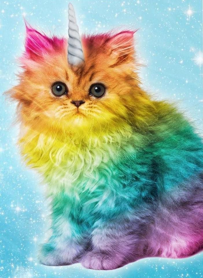 Happy Puppy Sparkly Kitty Rainbow Unicorn Fun Party!