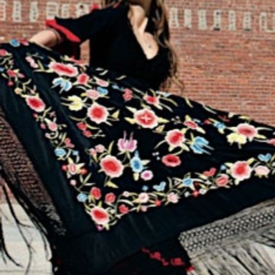 Flamenco y Sol