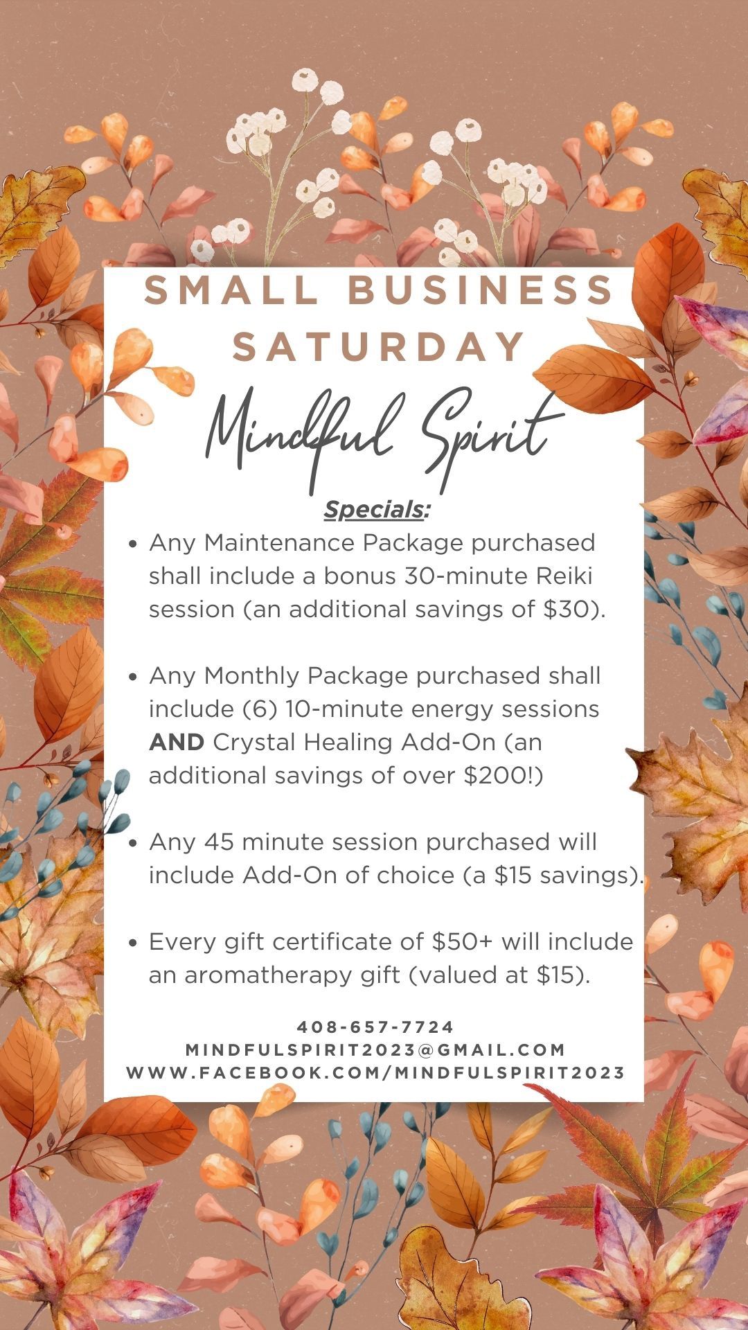 Small Business Saturday at Mindful Spirit