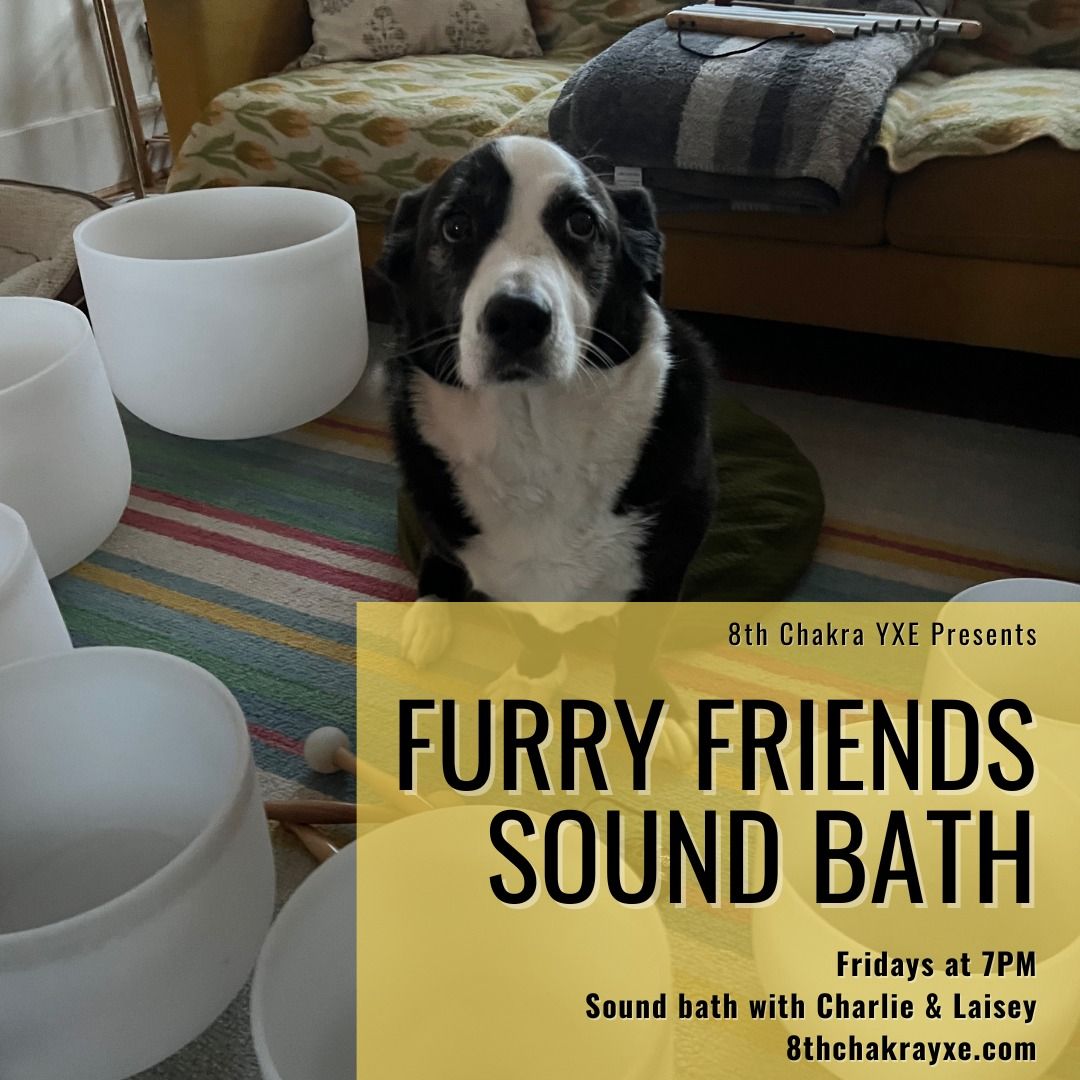 Furry Friends Sound Bath